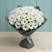 Букет цветов из:  Хризантемы в Верхнебаканский