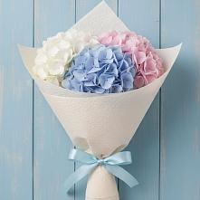 Букет цветов из:  Гортензия #REPLACE_PRED# Верхнебаканский