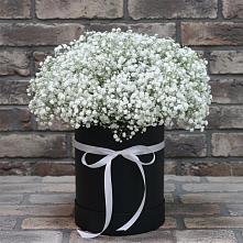 Цветочная композиция из Гипсофила в шляпной коробке в Верхнебаканский
