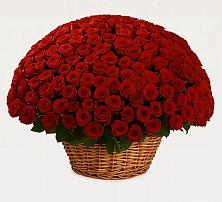 Премиум букет из: Розы в Верхнебаканский